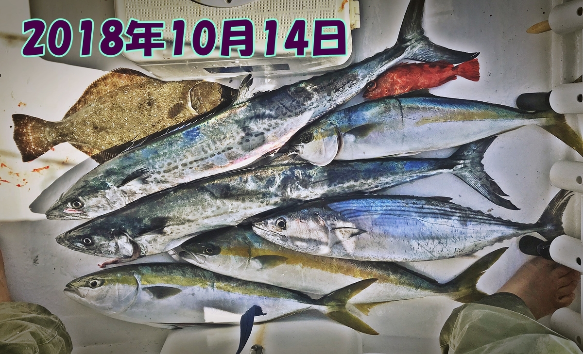 f:id:oka1man:20190323092102j:plain