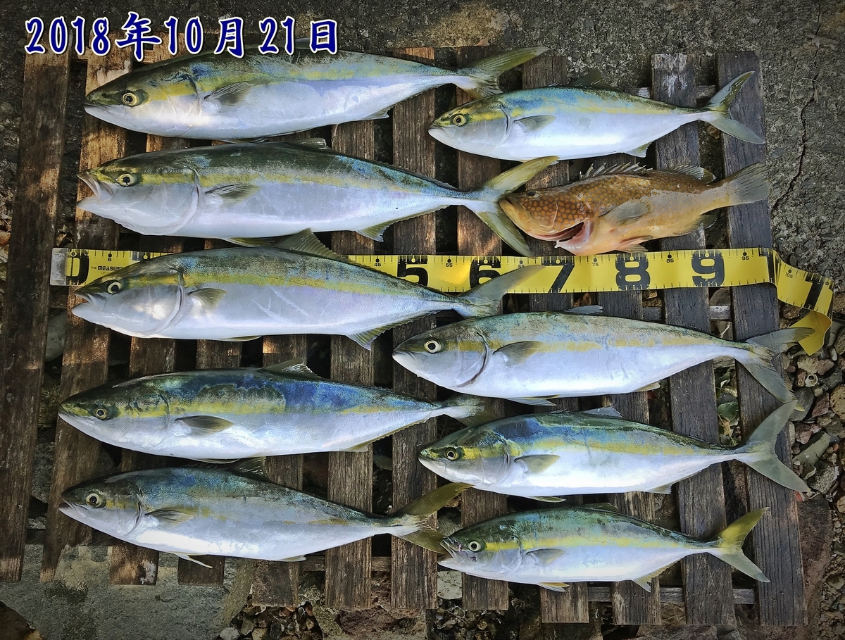 f:id:oka1man:20190323092134j:plain