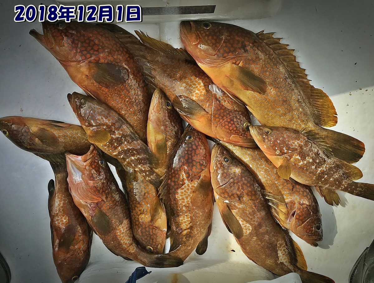 f:id:oka1man:20190323092339j:plain