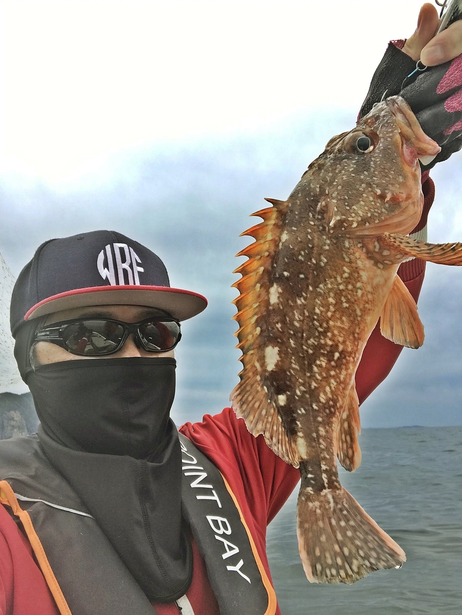 f:id:oka1man:20190428215719j:plain