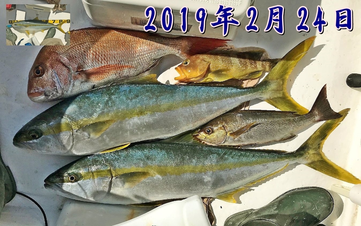 f:id:oka1man:20190504100536j:plain f:id:oka1man:20190504100536j:plain