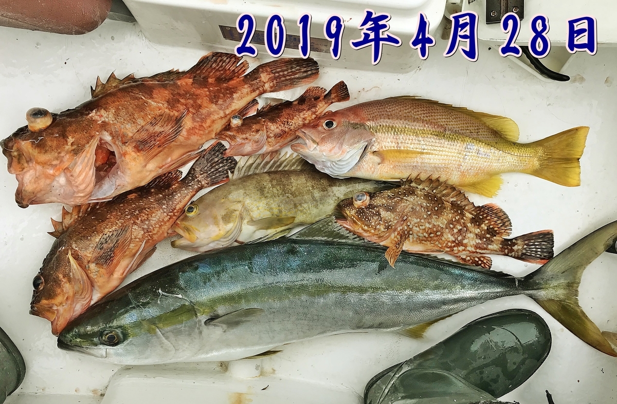 f:id:oka1man:20190504101425j:plain f:id:oka1man:20190504101425j:plain