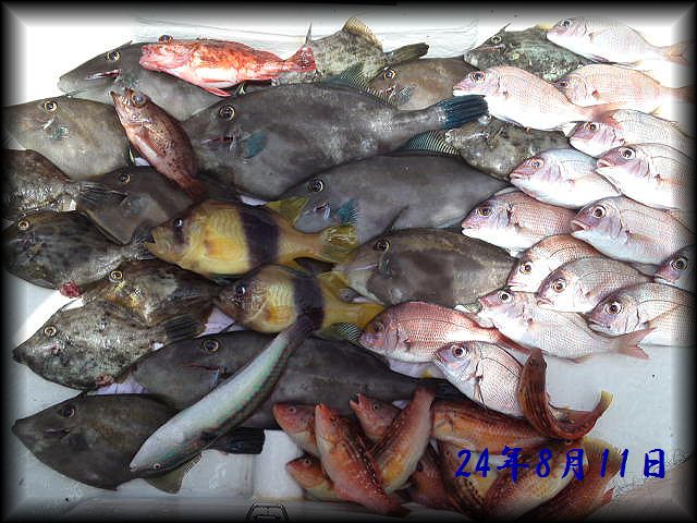 f:id:oka1man:20190729222744j:plain