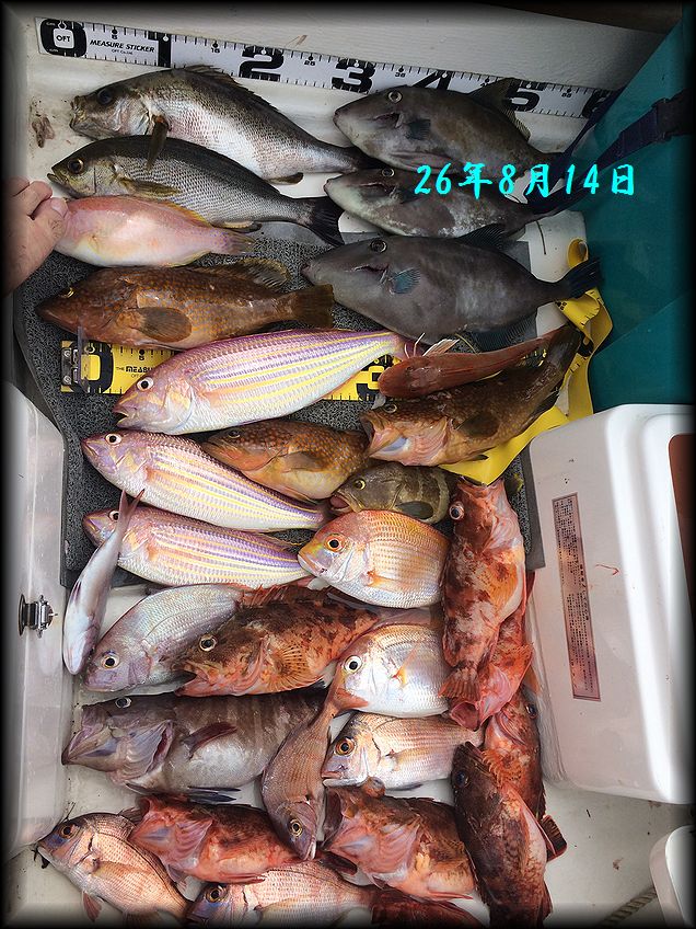 f:id:oka1man:20190729222944j:plain
