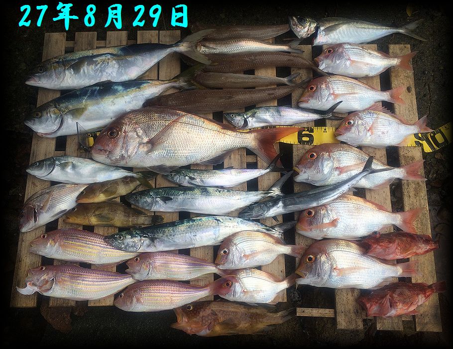 f:id:oka1man:20190729223440j:plain