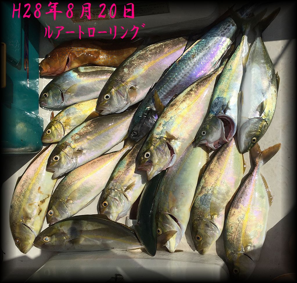 f:id:oka1man:20190729223613j:plain