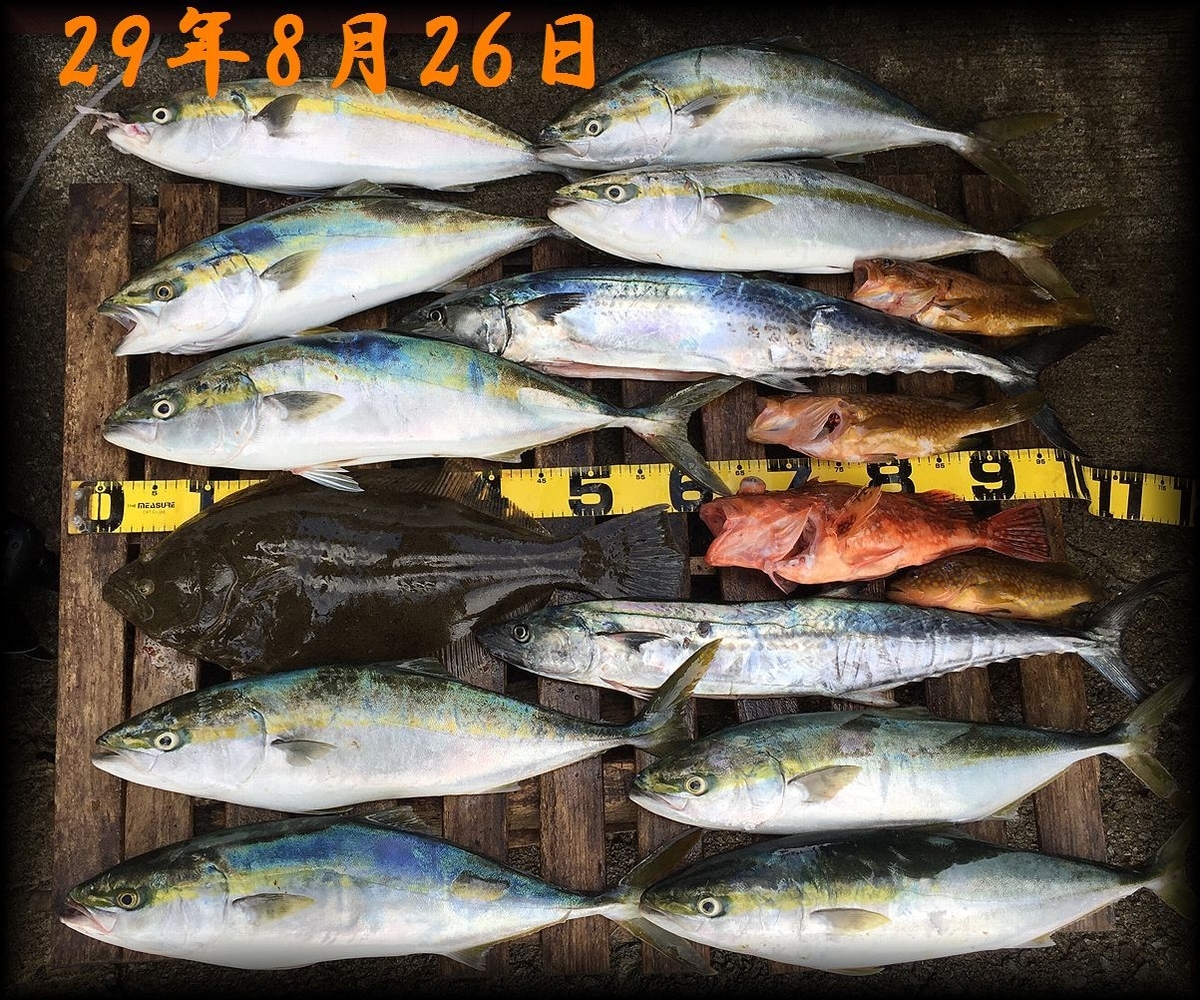 f:id:oka1man:20190729223840j:plain