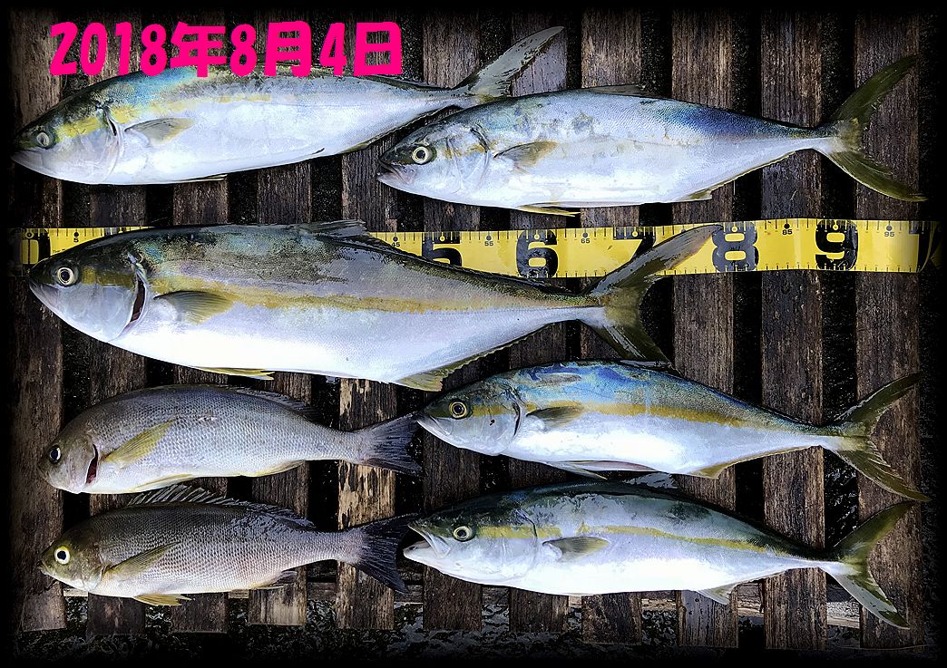 f:id:oka1man:20190729223942j:plain