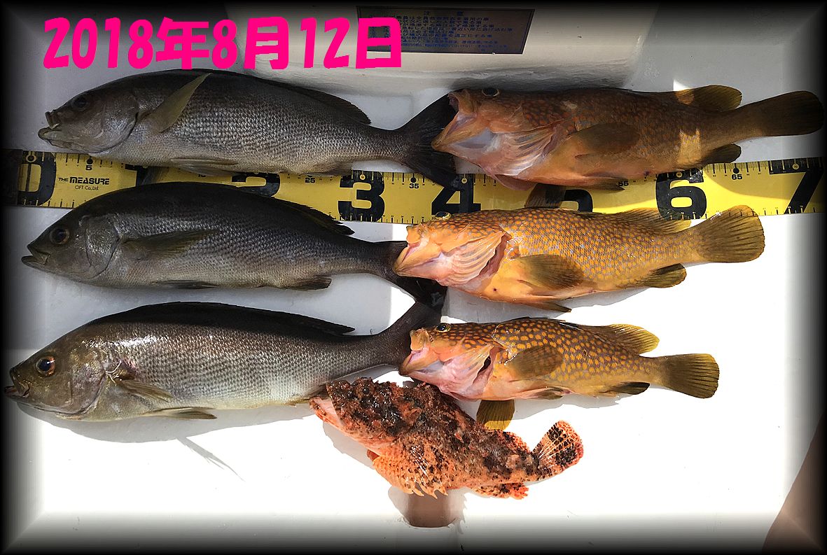 f:id:oka1man:20190729224023j:plain