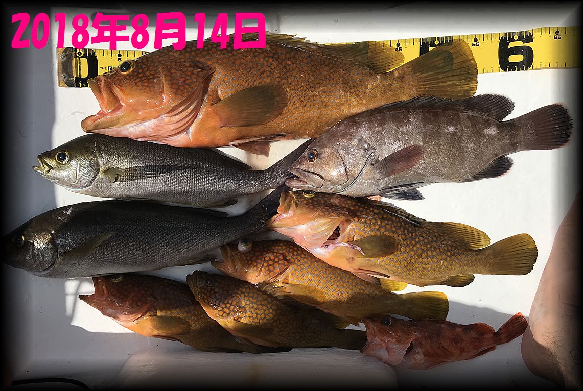 f:id:oka1man:20190729224100j:plain