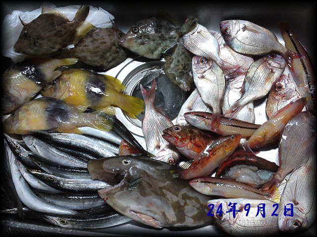 f:id:oka1man:20190902200925j:plain f:id:oka1man:20190902200925j:plain
