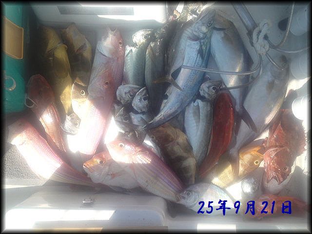 f:id:oka1man:20190902201013j:plain f:id:oka1man:20190902201013j:plain