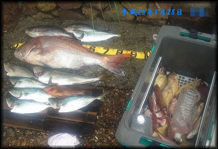 f:id:oka1man:20190902201050j:plain f:id:oka1man:20190902201050j:plain