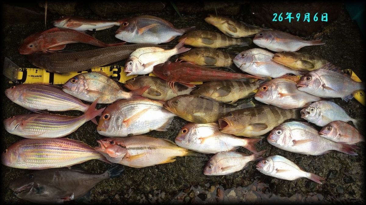 f:id:oka1man:20190902201124j:plain f:id:oka1man:20190902201124j:plain