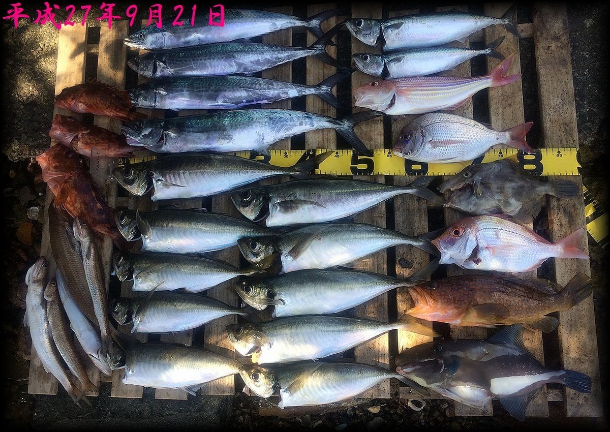 f:id:oka1man:20190902201332j:plain f:id:oka1man:20190902201332j:plain