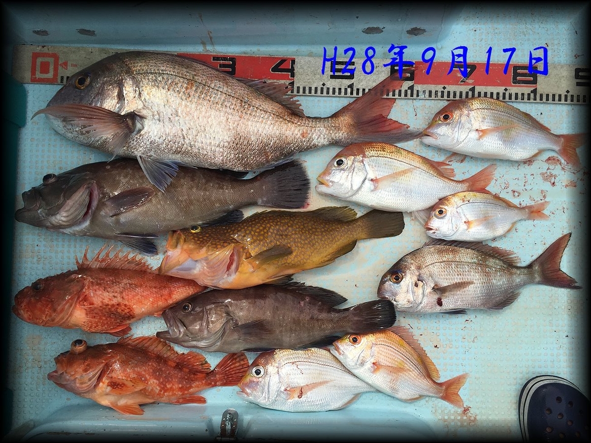 f:id:oka1man:20190902201422j:plain f:id:oka1man:20190902201422j:plain