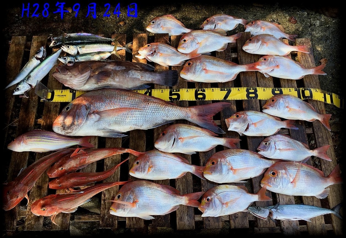 f:id:oka1man:20190902201450j:plain f:id:oka1man:20190902201450j:plain