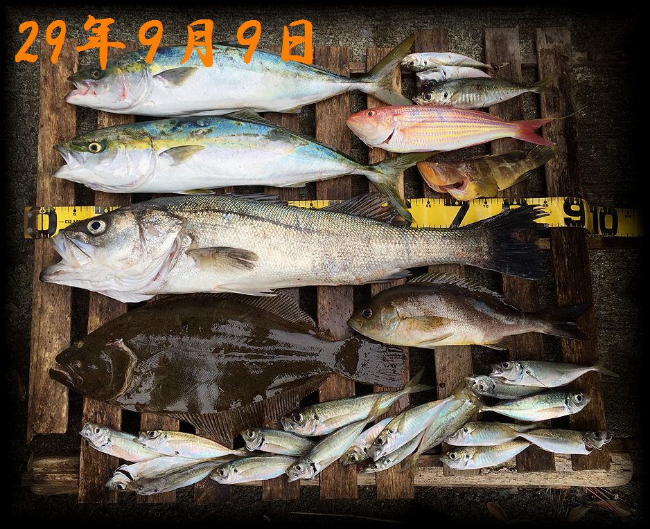 f:id:oka1man:20190902201525j:plain f:id:oka1man:20190902201525j:plain