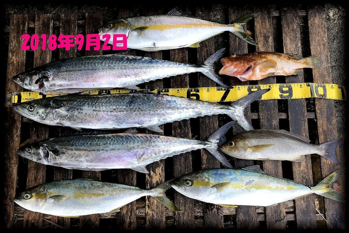 f:id:oka1man:20190902201730j:plain f:id:oka1man:20190902201730j:plain