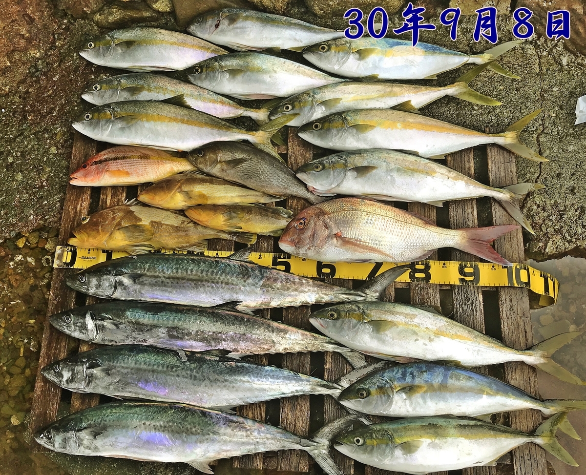f:id:oka1man:20190902201836j:plain f:id:oka1man:20190902201836j:plain