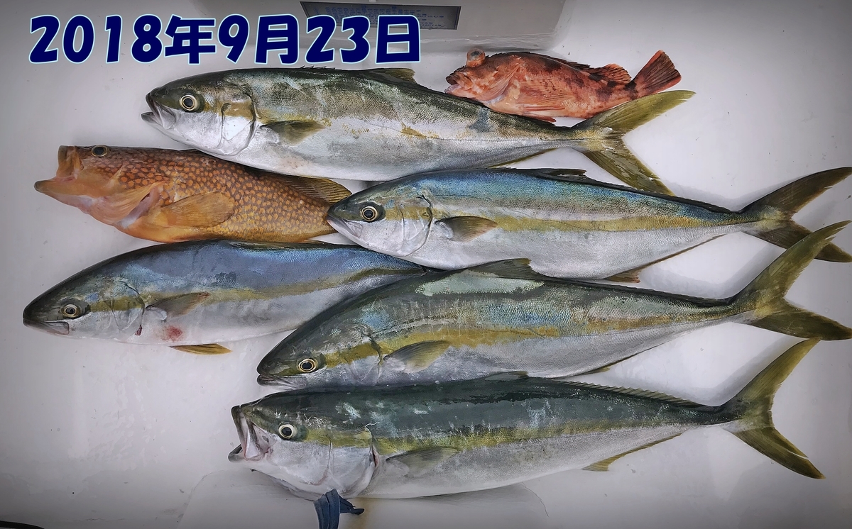 f:id:oka1man:20190902201947j:plain f:id:oka1man:20190902201947j:plain