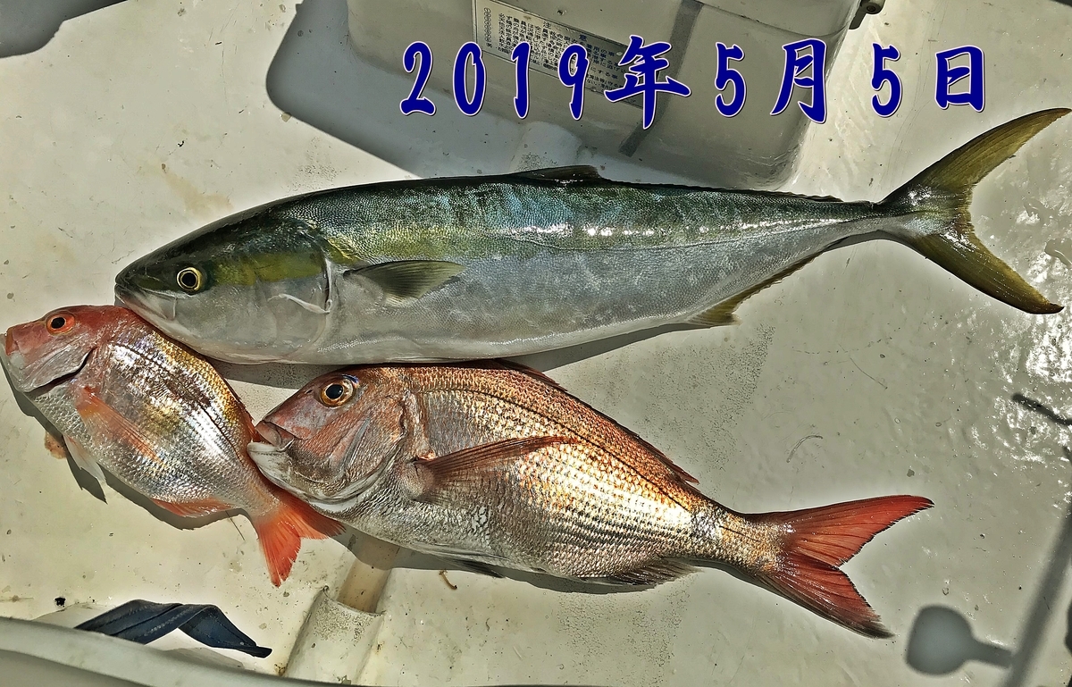 f:id:oka1man:20191230174435j:plain f:id:oka1man:20191230174435j:plain