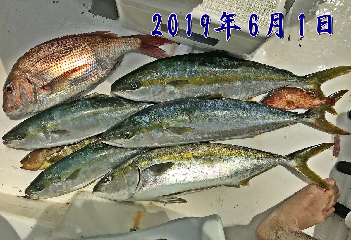 f:id:oka1man:20191230174613j:plain f:id:oka1man:20191230174613j:plain