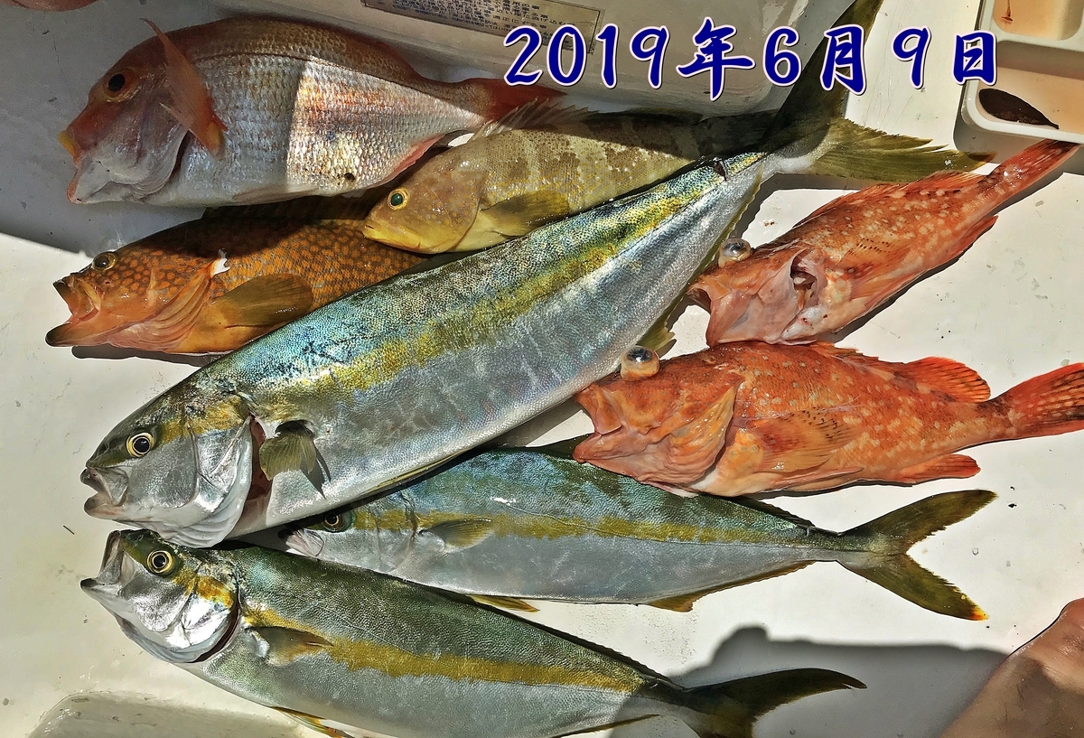 f:id:oka1man:20191230174749j:plain f:id:oka1man:20191230174749j:plain