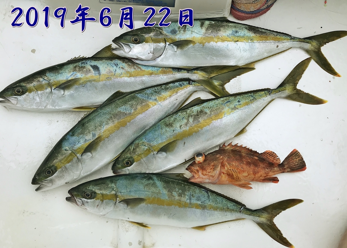 f:id:oka1man:20191230174955j:plain f:id:oka1man:20191230174955j:plain