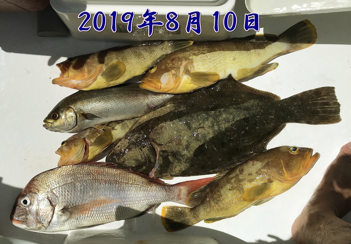 f:id:oka1man:20191230175108j:plain f:id:oka1man:20191230175108j:plain