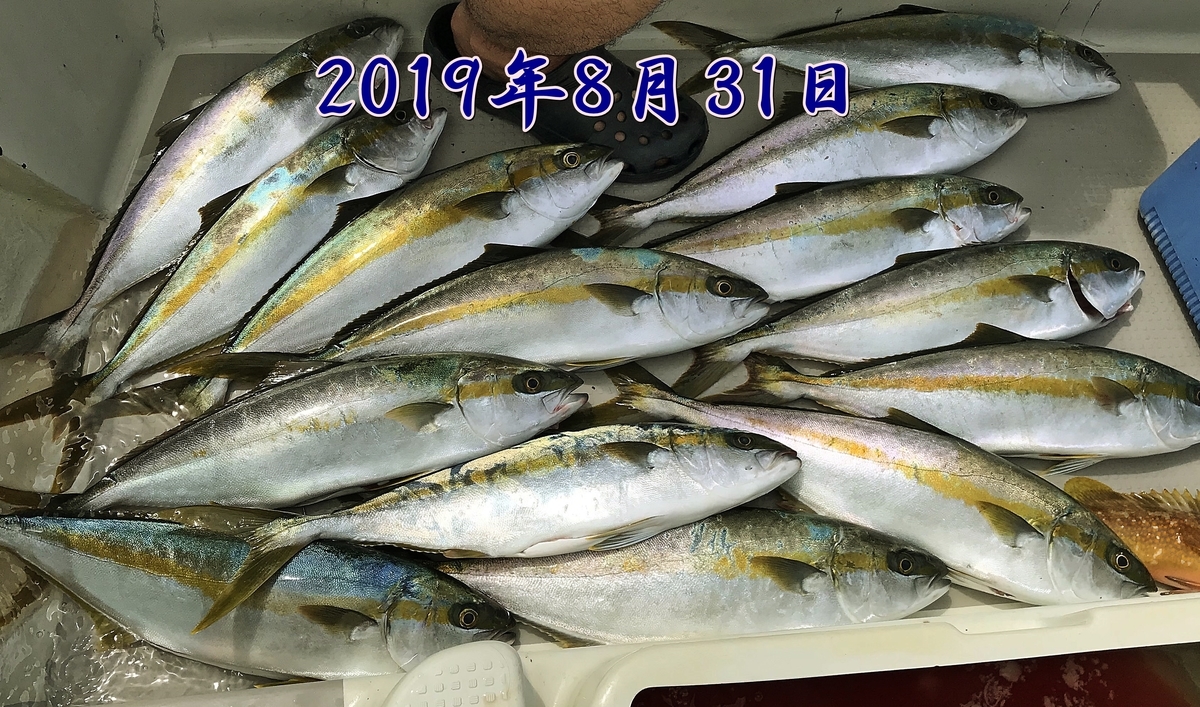 f:id:oka1man:20191230175300j:plain f:id:oka1man:20191230175300j:plain