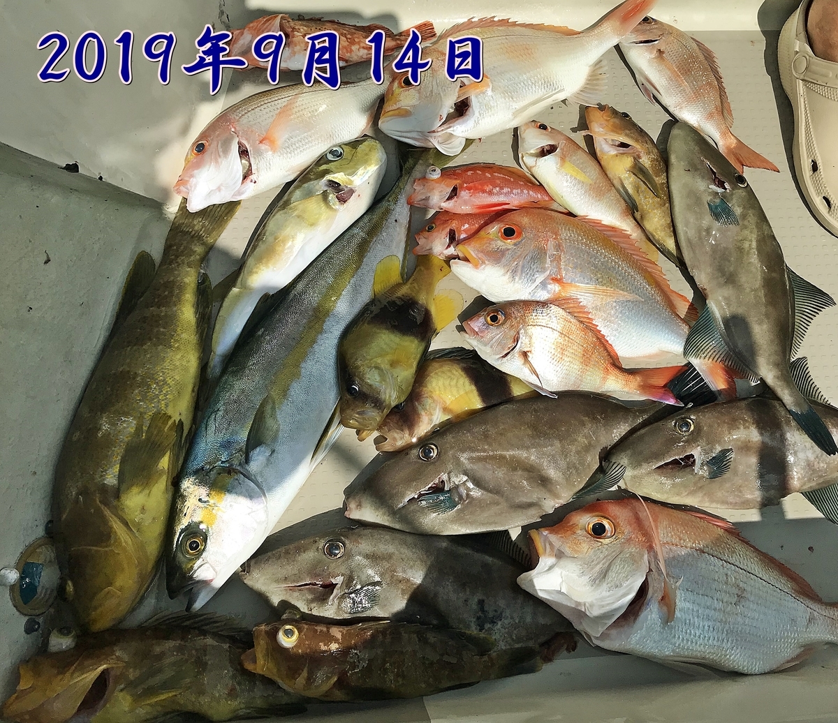 f:id:oka1man:20191230175349j:plain f:id:oka1man:20191230175349j:plain
