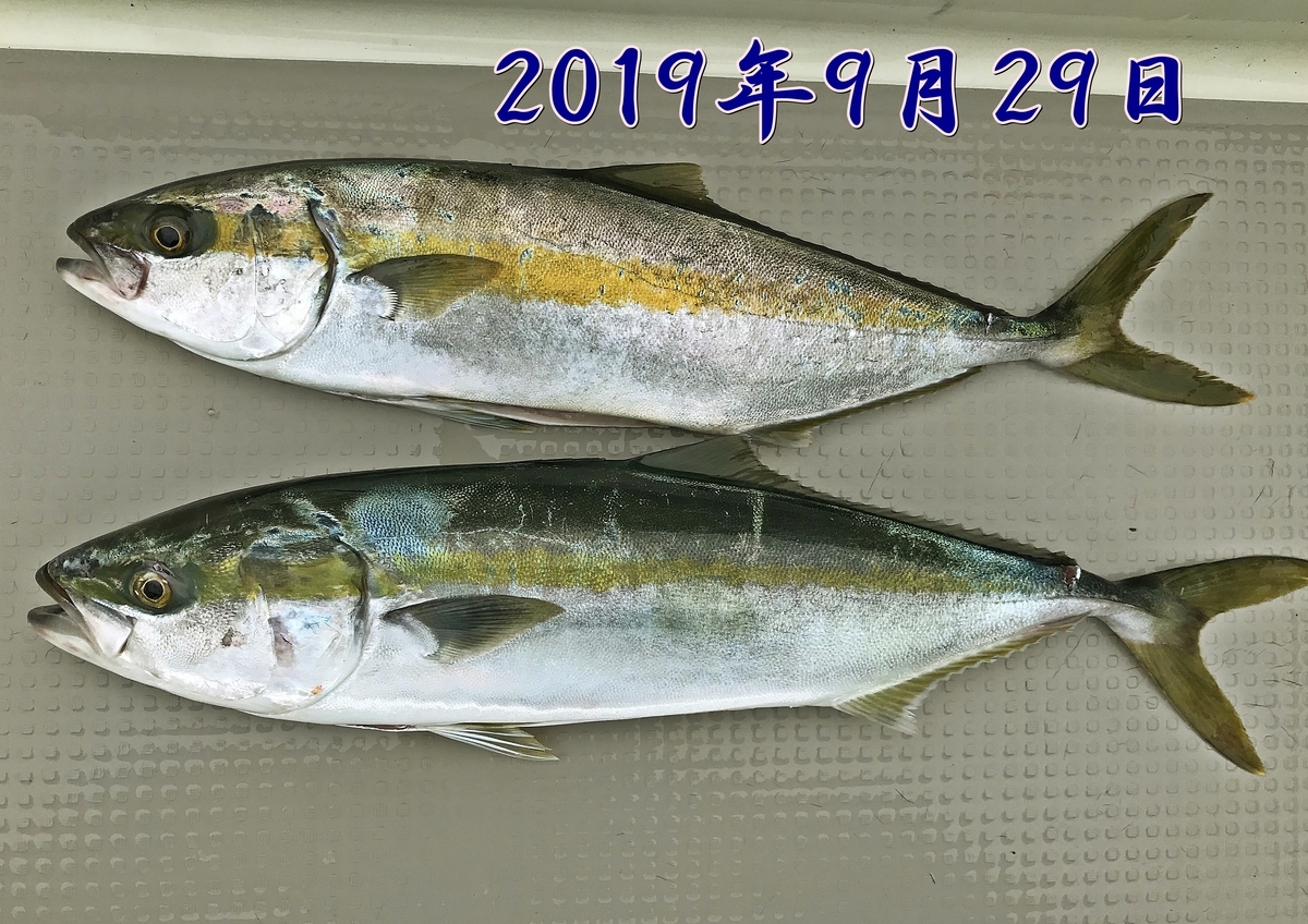 f:id:oka1man:20191230175518j:plain f:id:oka1man:20191230175518j:plain