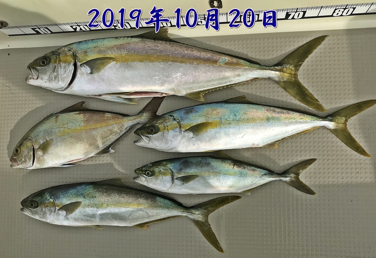 f:id:oka1man:20191230175826j:plain f:id:oka1man:20191230175826j:plain