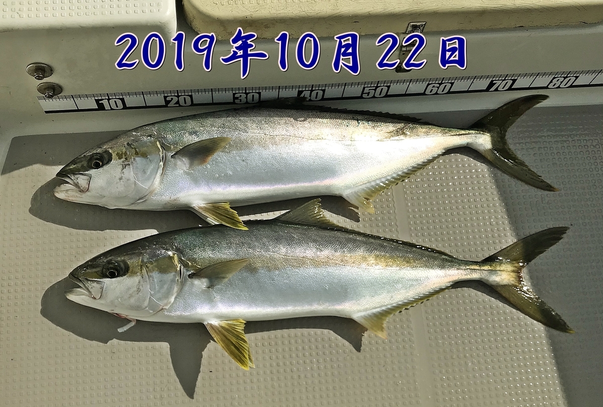 f:id:oka1man:20191230180032j:plain f:id:oka1man:20191230180032j:plain