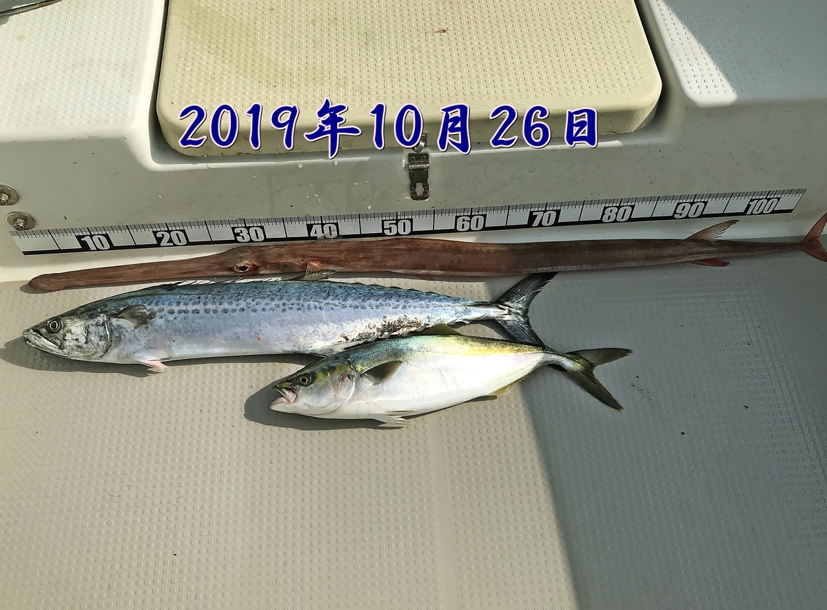 f:id:oka1man:20191230180142j:plain f:id:oka1man:20191230180142j:plain