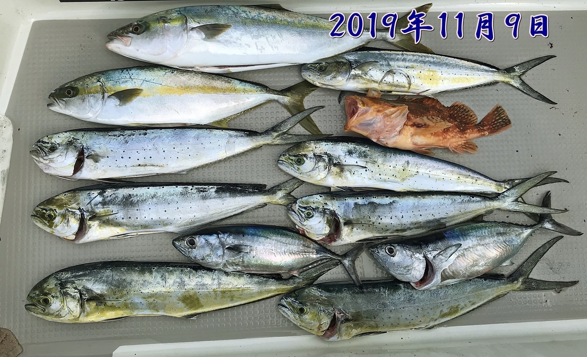 f:id:oka1man:20191230180511j:plain f:id:oka1man:20191230180511j:plain