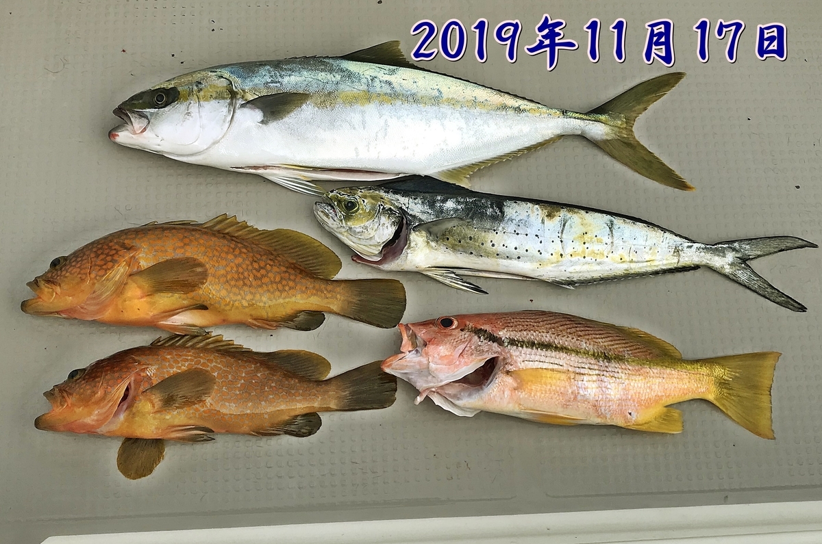 f:id:oka1man:20191230180700j:plain f:id:oka1man:20191230180700j:plain