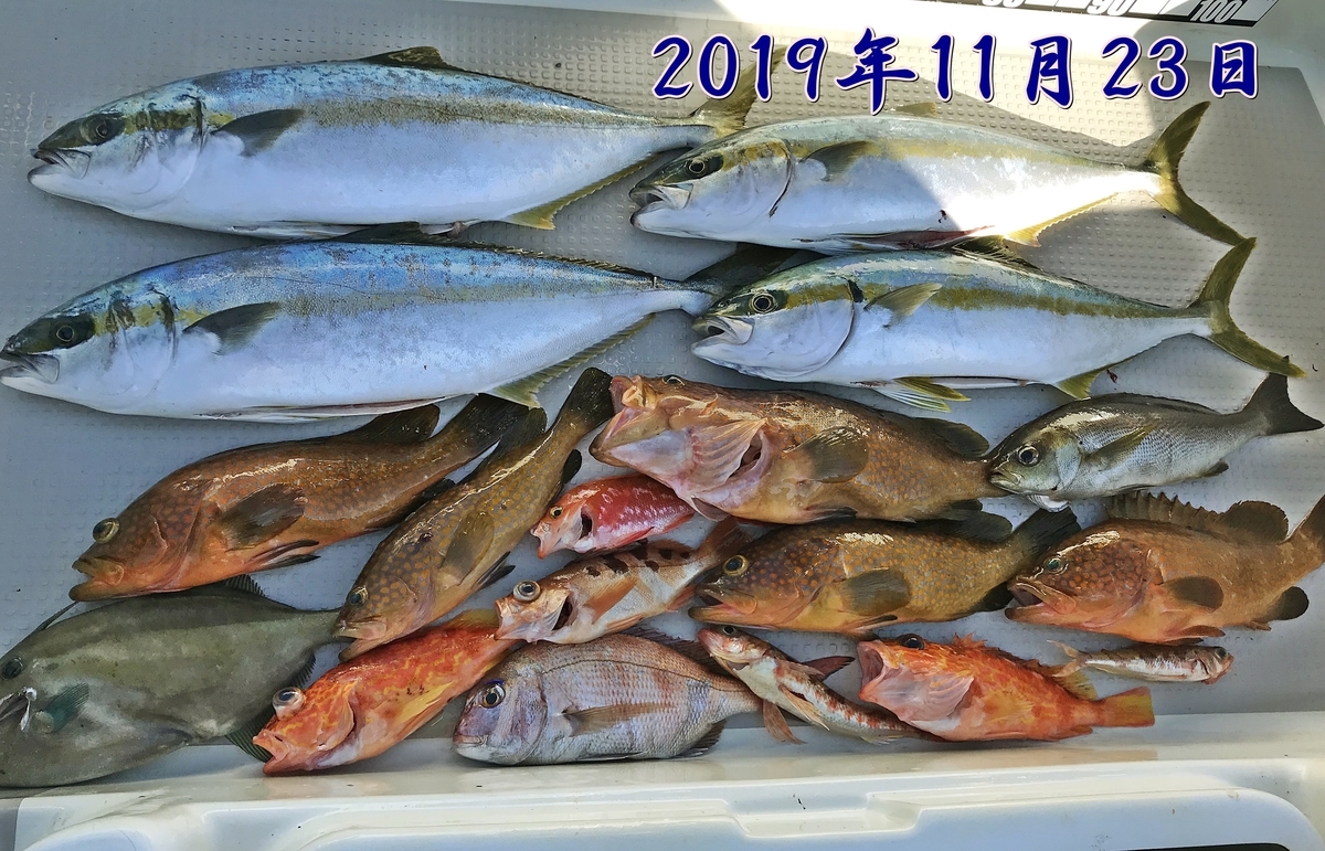 f:id:oka1man:20191230180925j:plain f:id:oka1man:20191230180925j:plain