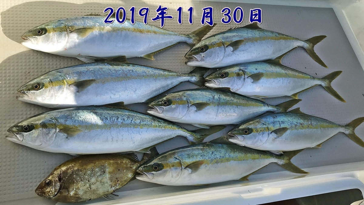 f:id:oka1man:20191230181038j:plain f:id:oka1man:20191230181038j:plain