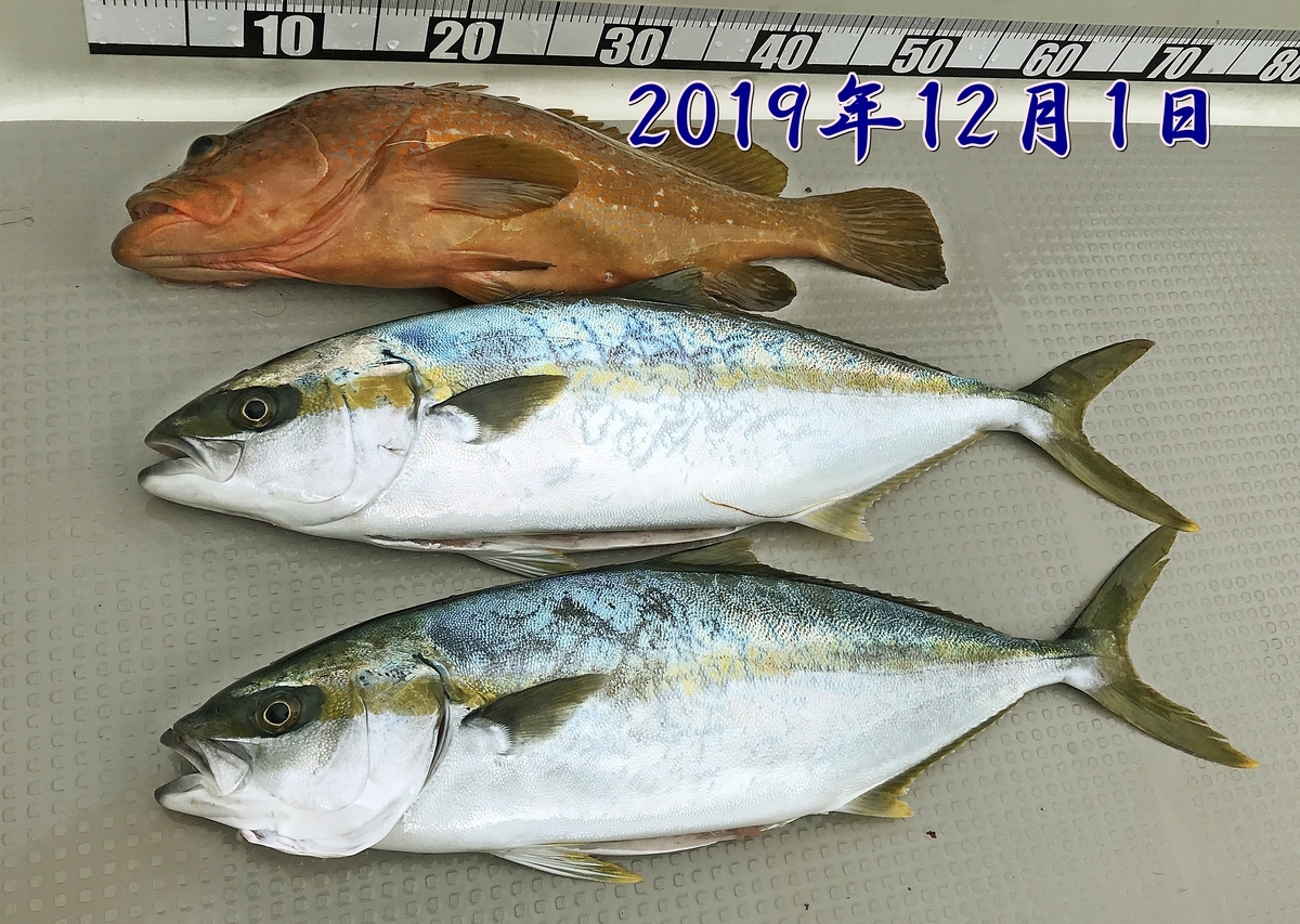 f:id:oka1man:20191230181215j:plain f:id:oka1man:20191230181215j:plain