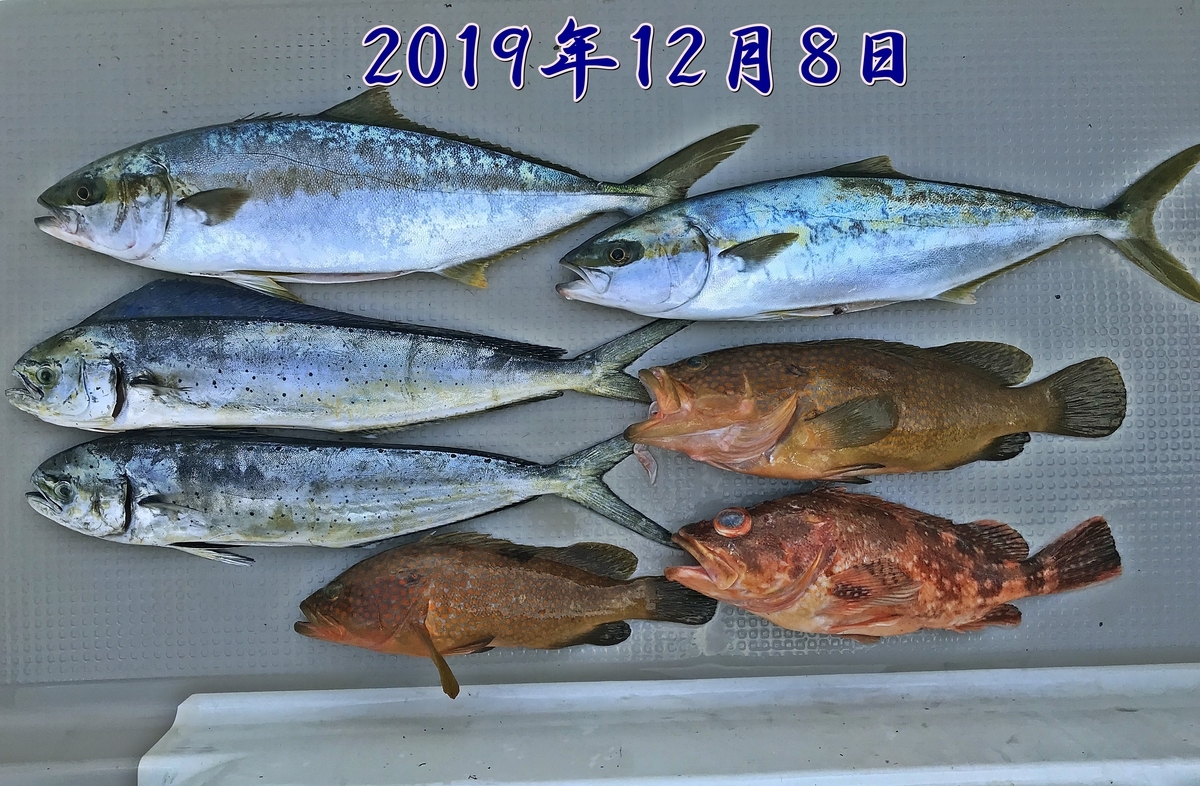 f:id:oka1man:20191230181433j:plain f:id:oka1man:20191230181433j:plain