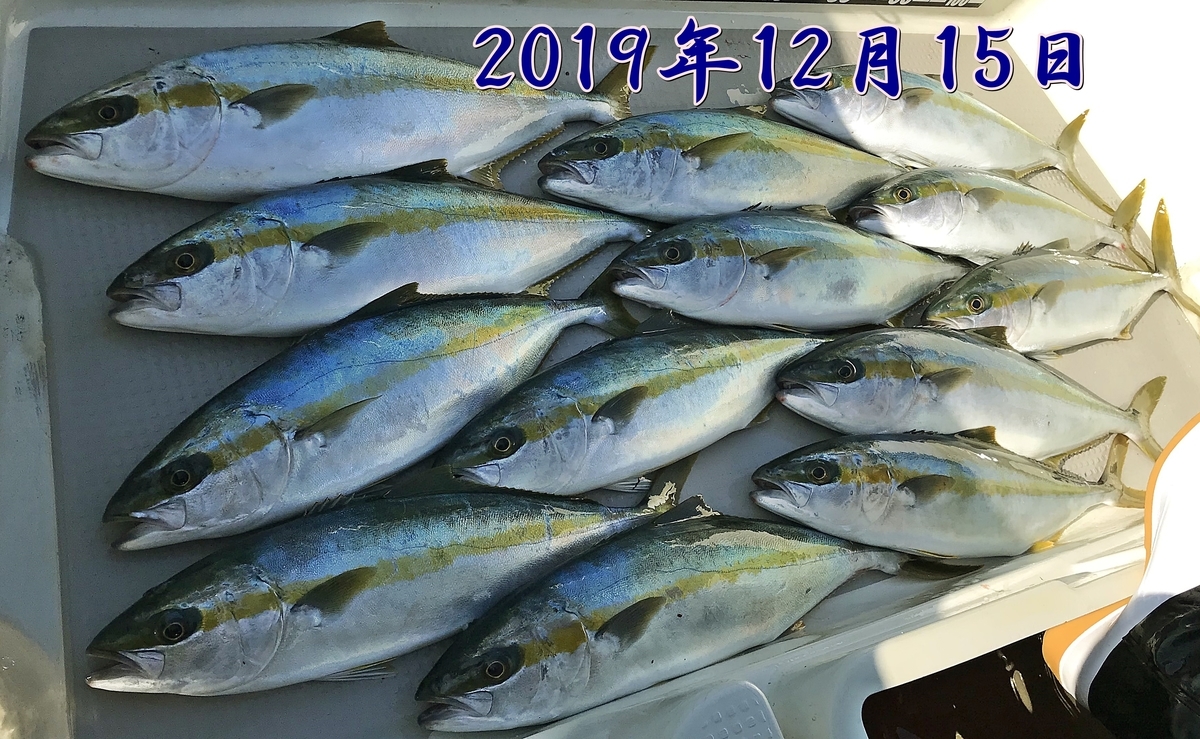 f:id:oka1man:20191230181609j:plain f:id:oka1man:20191230181609j:plain