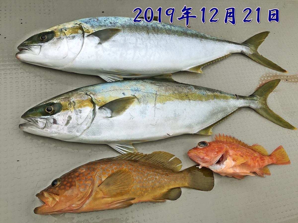 f:id:oka1man:20191230181749j:plain f:id:oka1man:20191230181749j:plain
