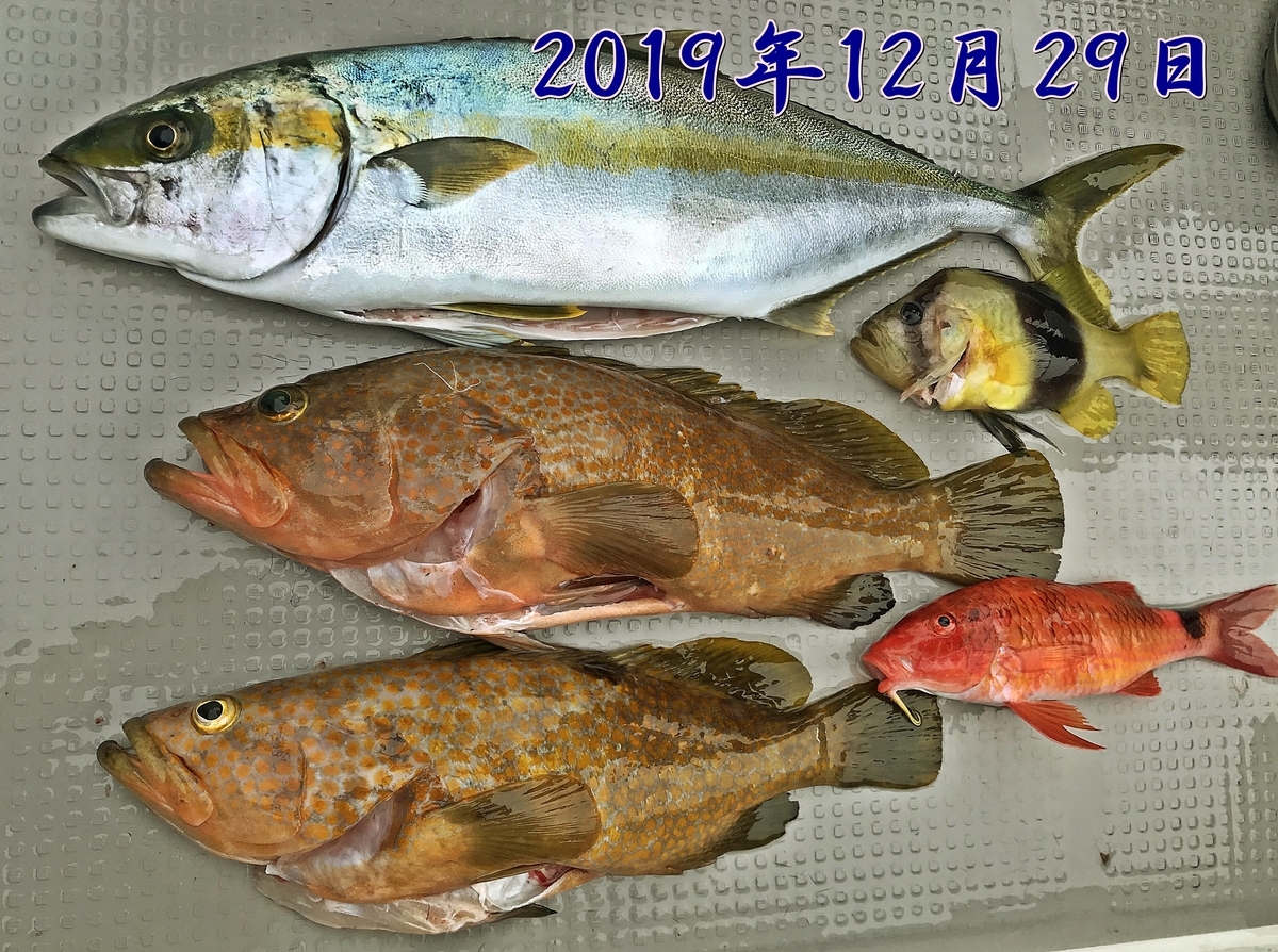 f:id:oka1man:20191230182107j:plain f:id:oka1man:20191230182107j:plain