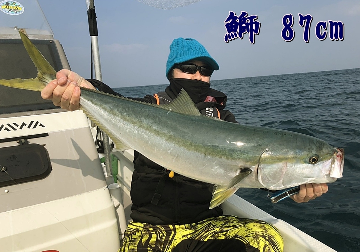 気持ちいい1本シリーズ ブリ 鰤 金属遊び研究会 Fisherman Ryo