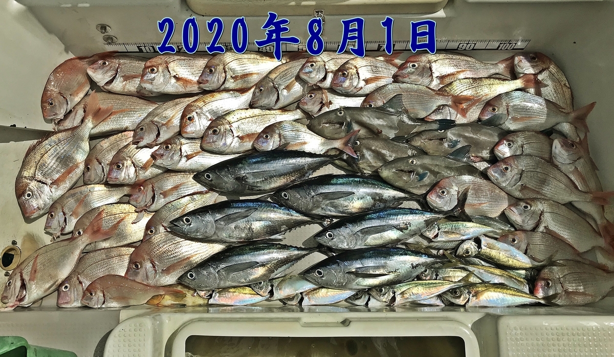 f:id:oka1man:20200830065805j:plain