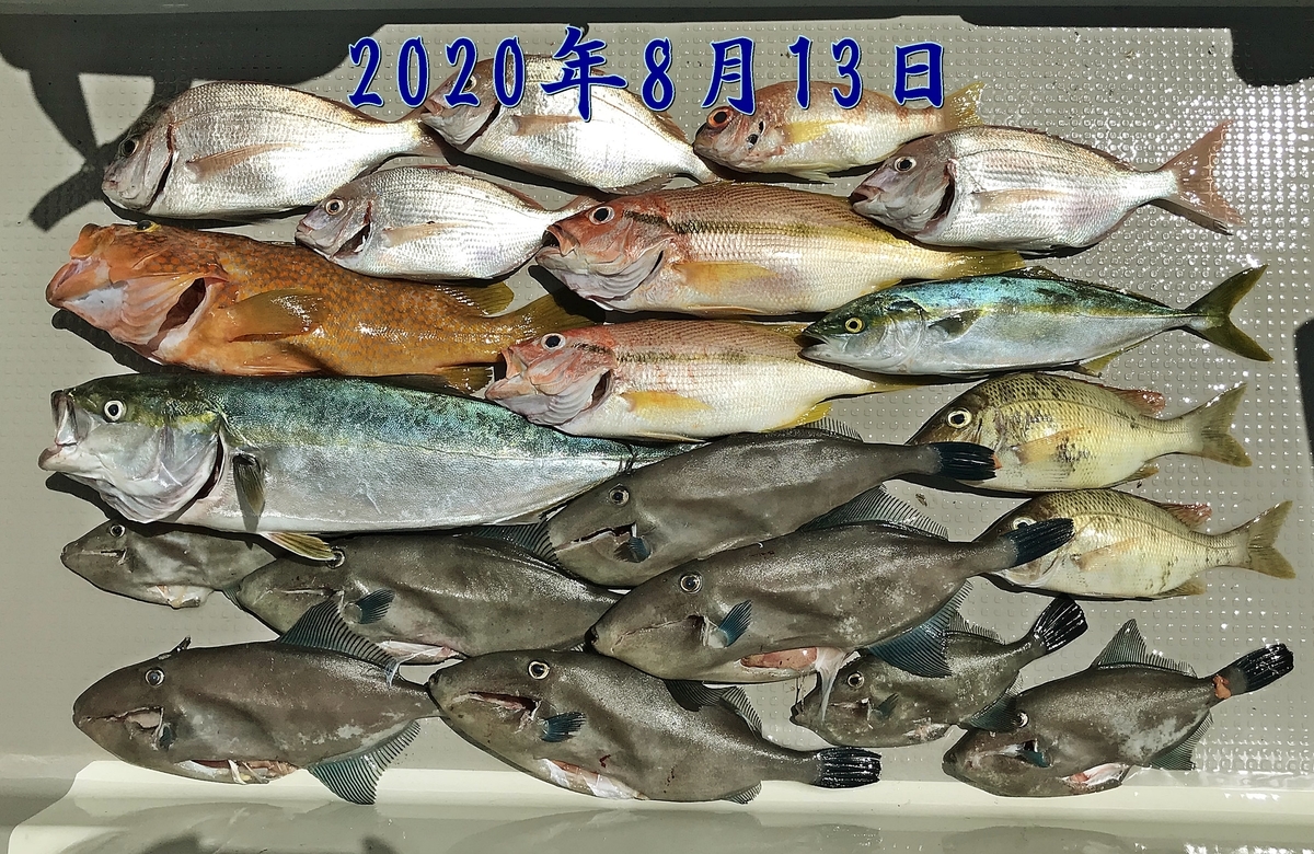 f:id:oka1man:20200830070007j:plain