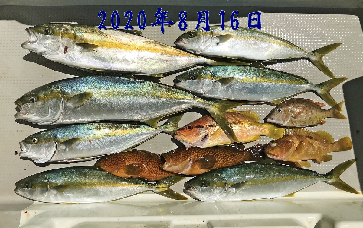 f:id:oka1man:20200830070103j:plain