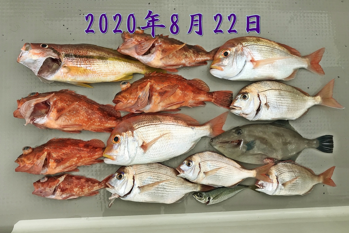 f:id:oka1man:20200830070157j:plain